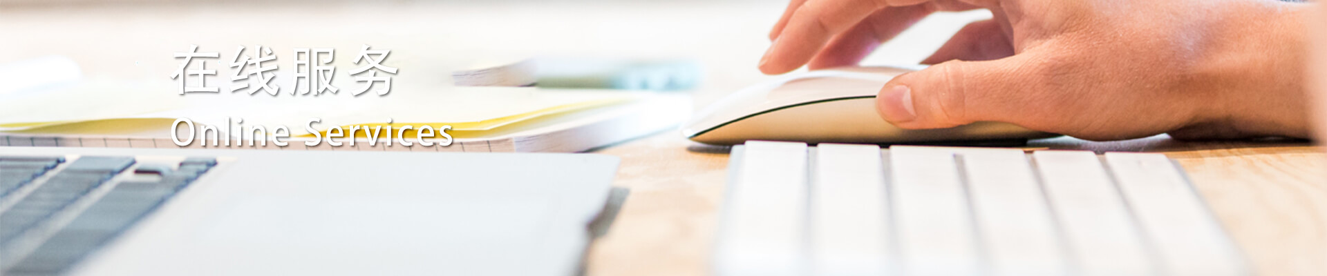 1xBET Signup(й)-ٷվ